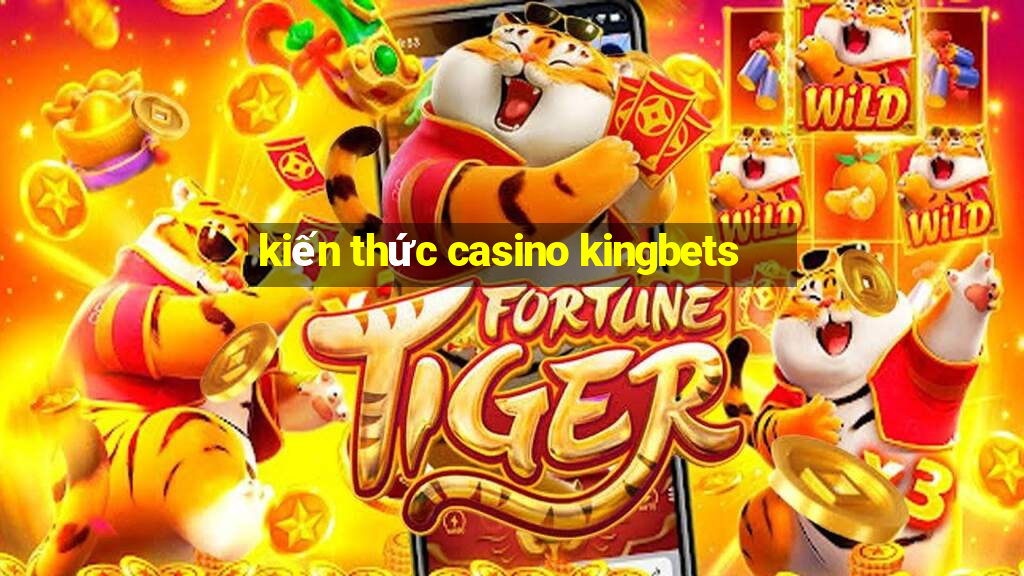 kiến thức casino kingbets