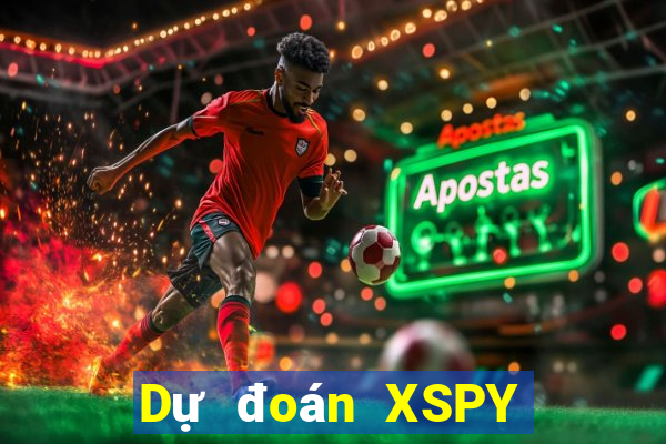 Dự đoán XSPY ngày 13