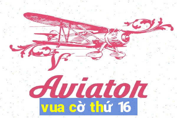 vua cờ thứ 16