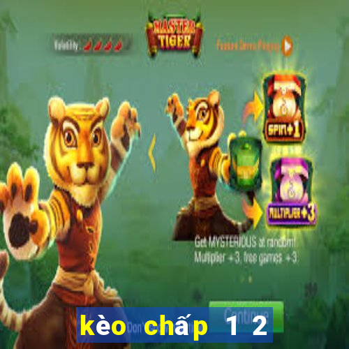 kèo chấp 1 2 là sao