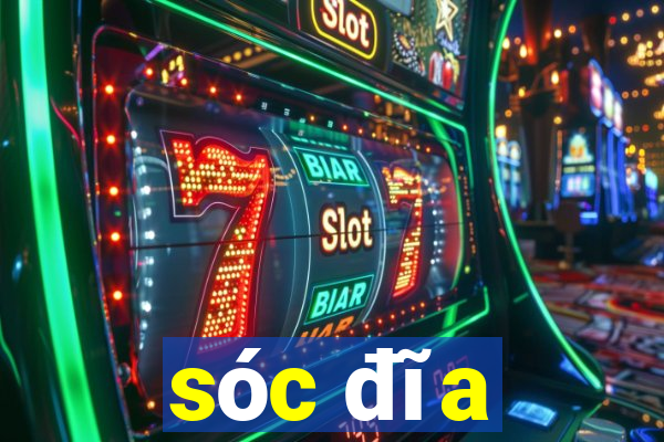 sóc đĩa