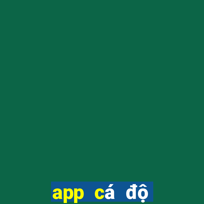 app cá độ bóng đá