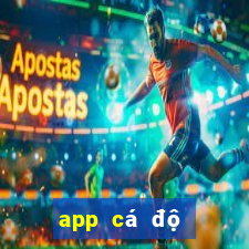 app cá độ bóng đá