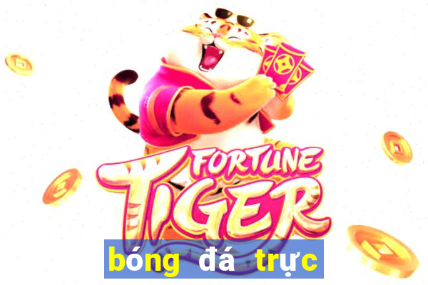 bóng đá trực tiếp vtv6