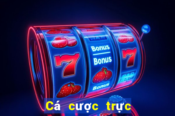 Cá cược trực tuyến Boa Club