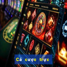 Cá cược trực tuyến Boa Club