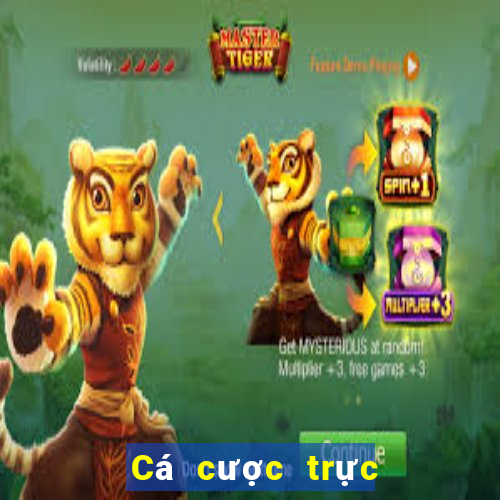 Cá cược trực tuyến Boa Club