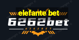 elefante bet