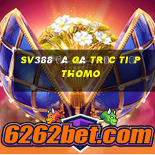 sv388 đá gà trực tiếp thomo