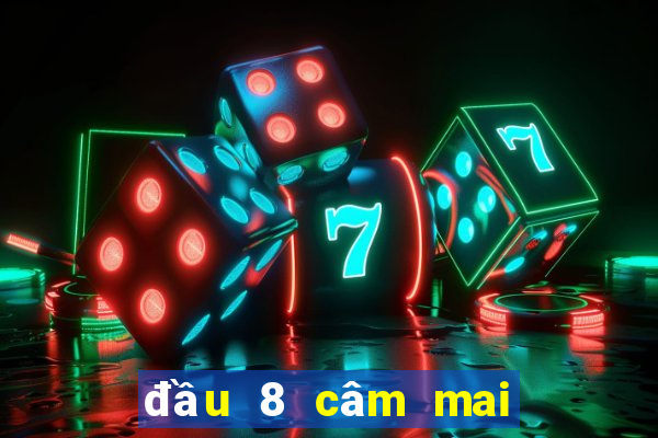 đầu 8 câm mai đánh lô gì