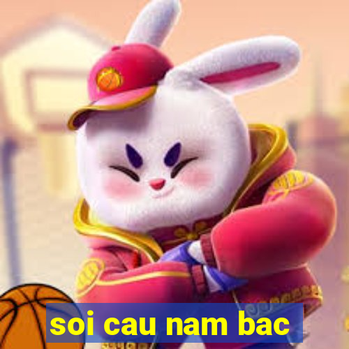 soi cau nam bac