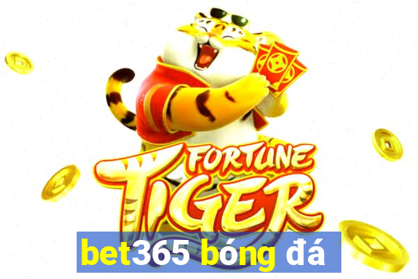 bet365 bóng đá