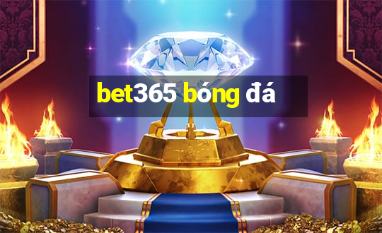 bet365 bóng đá