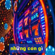 những con gì