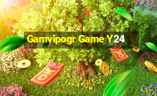 Gamvipogr Game Y24