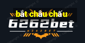 bắt châu chấu