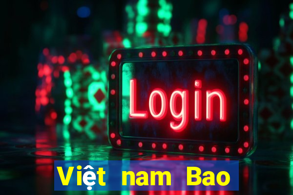 Việt nam Bao Ying International