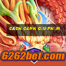 cách canh cầu Phỏm