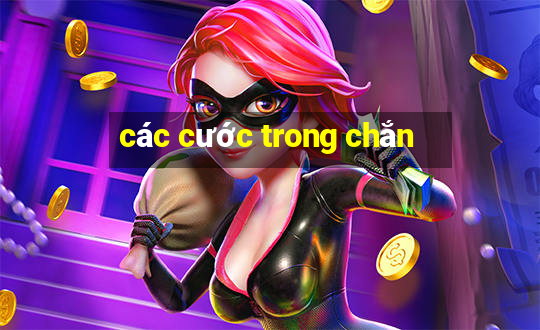 các cước trong chắn