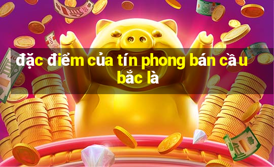 đặc điểm của tín phong bán cầu bắc là