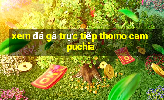 xem đá gà trực tiếp thomo campuchia