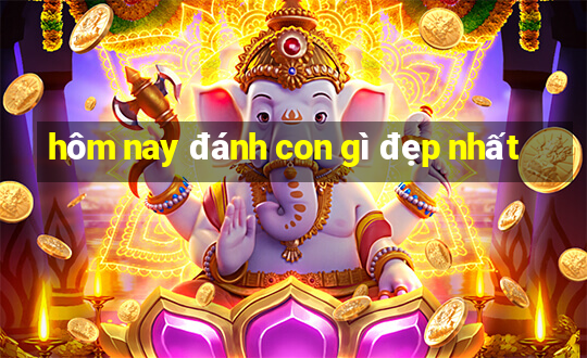 hôm nay đánh con gì đẹp nhất