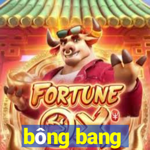 bông bang