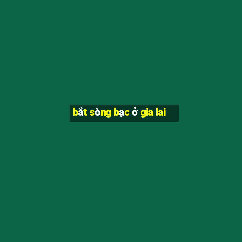 bắt sòng bạc ở gia lai