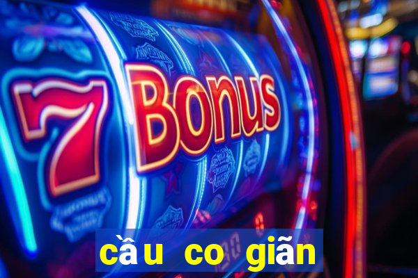 cầu co giãn hoàn toàn