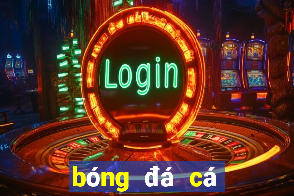 bóng đá cá cược bóng đá