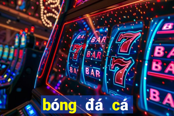 bóng đá cá cược bóng đá