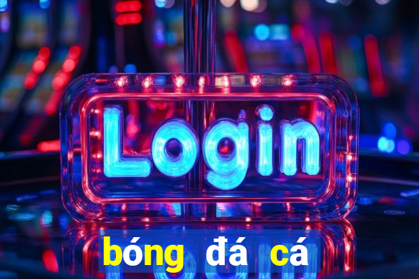 bóng đá cá cược bóng đá