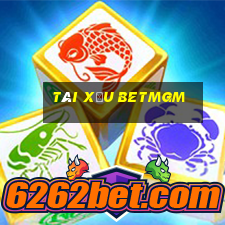 Tài Xỉu Betmgm