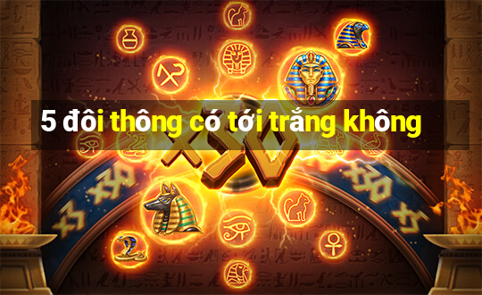 5 đôi thông có tới trắng không