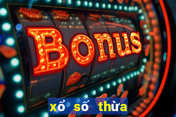 xổ số thừa thiên huế 100 ngày qua