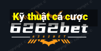 Kỹ thuật cá cược