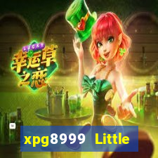 xpg8999 Little Apple giải trí