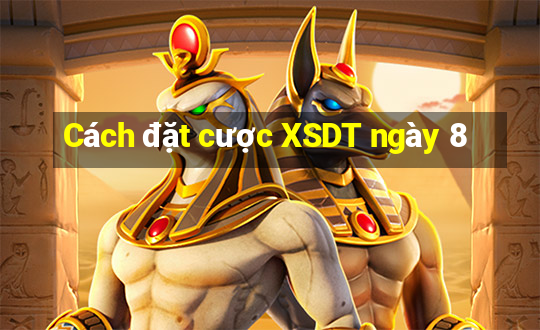 Cách đặt cược XSDT ngày 8