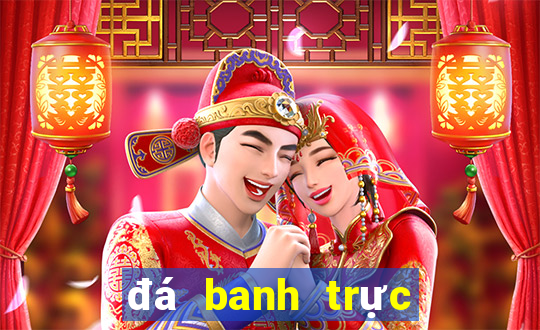 đá banh trực tiếp việt nam indonesia