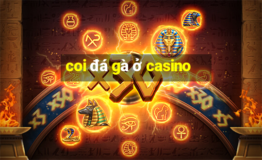 coi đá gà ở casino