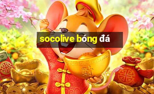 socolive bóng đá