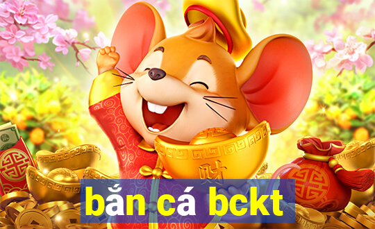 bắn cá bckt