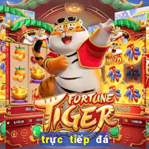 trực tiếp đá gà casino 999