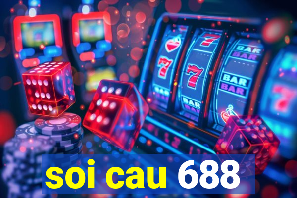 soi cau 688