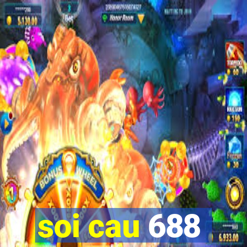 soi cau 688