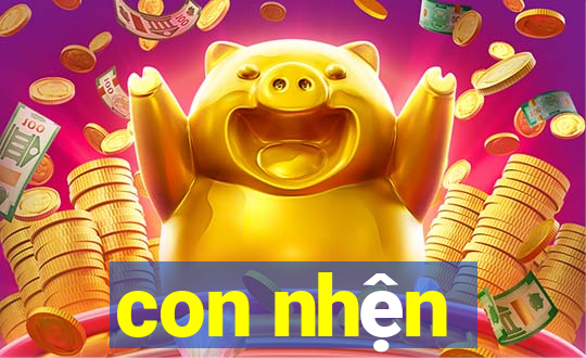 con nhện