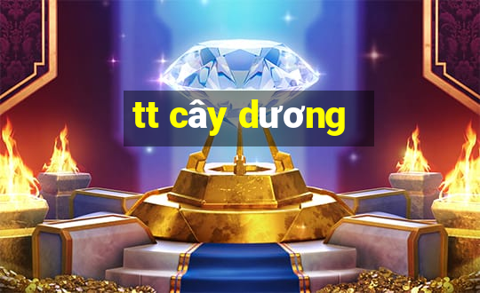 tt cây dương