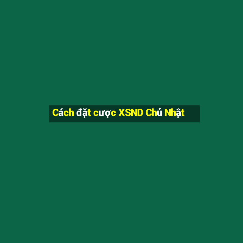 Cách đặt cược XSND Chủ Nhật