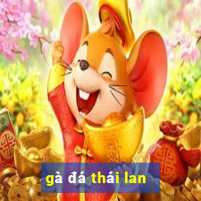 gà đá thái lan