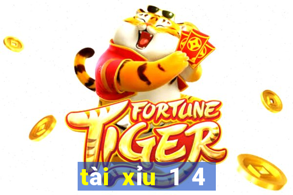 tài xỉu 1 4 là gì